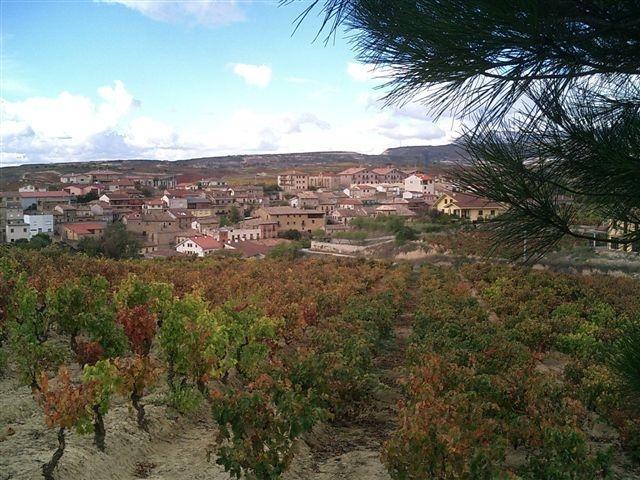 Casa Rural Baigorrietxea Vendégház Villabuena de Álava Kültér fotó